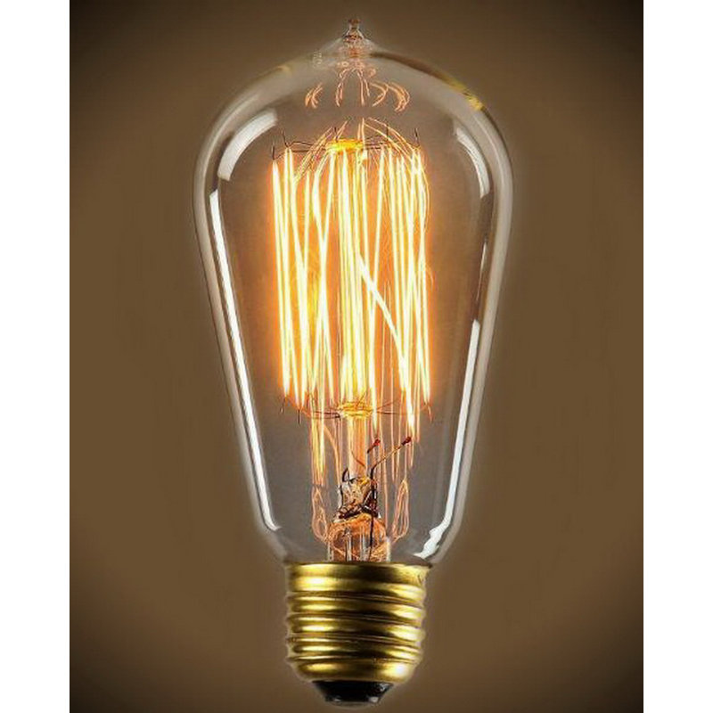 60W E26 Incandescent Edison Light Bulb & Reviews Joss & Main